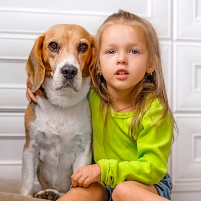 Preventing Dog Bites On Children