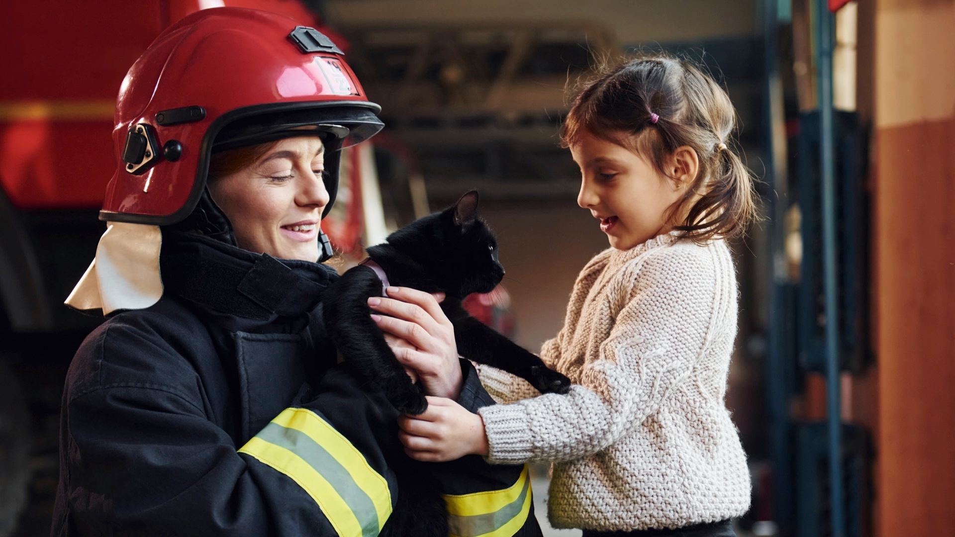 Prepare Your Pets For Disasters