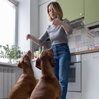 Getting The Behavior You Want From Your Dog