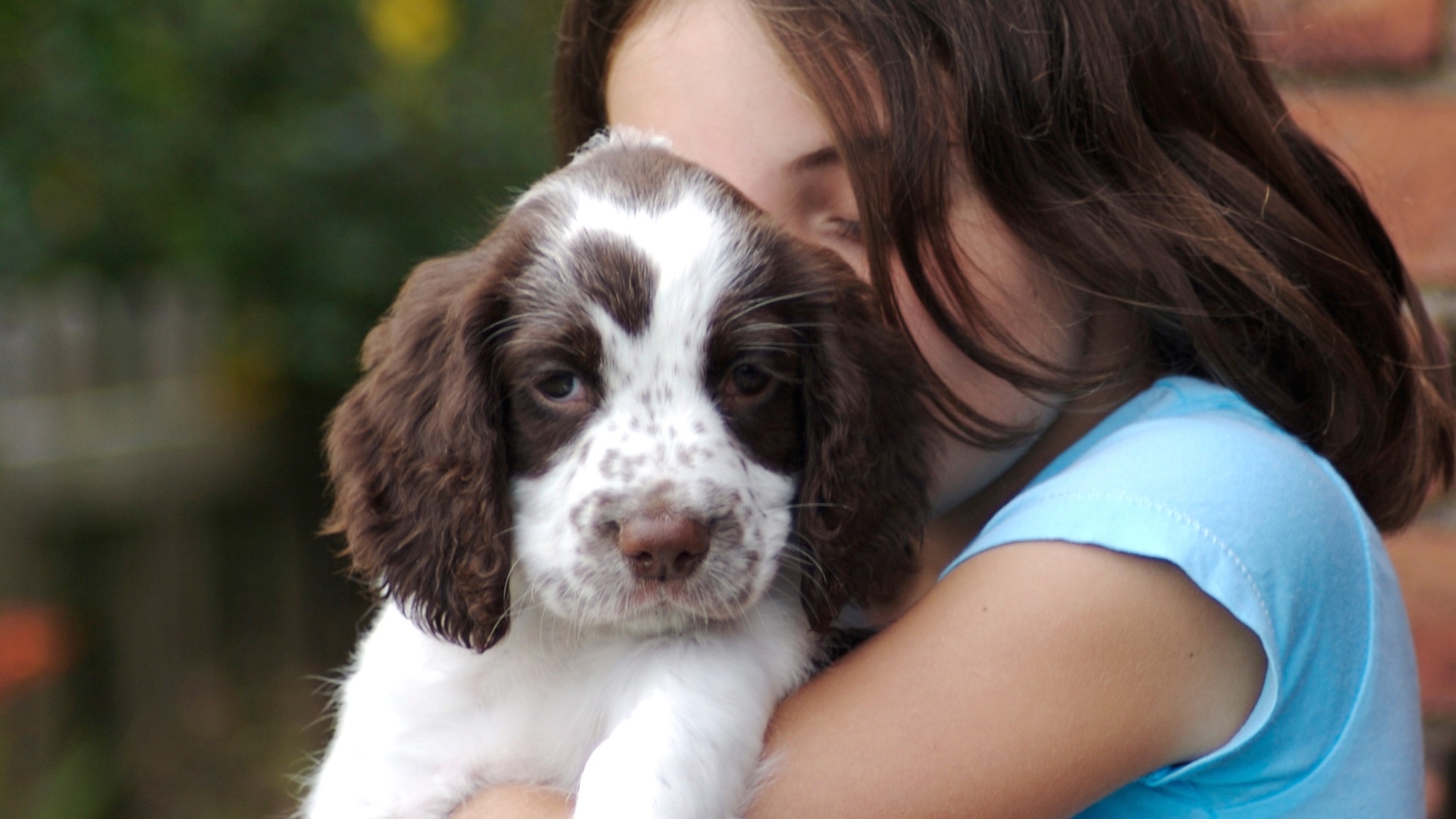 Handling And Feeding Exercises For Your Puppy