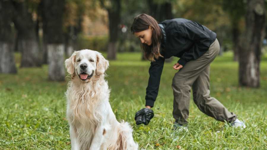 Always Pick Up After Your Dog