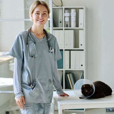 Preparing Your Cat For The Veterinarian